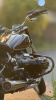 BMW R r18 k34, 2023 г.