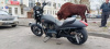 Victory Hammer, 2013 г.