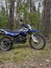 Racer Panther, 2019 г.
