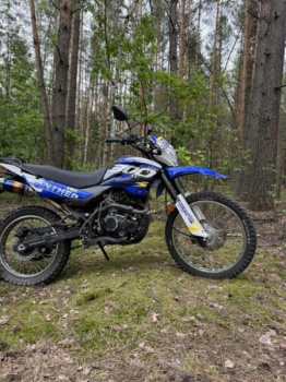 Racer Panther, 2019 г.