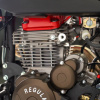 Regulmoto Holeshot RED EDITION 2025, 2026 г.