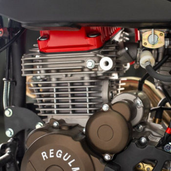 Regulmoto Holeshot RED EDITION 2025, 2026 г.