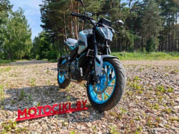 Motoland NK 300 STREET, 2026 г.