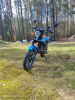 Racer Tiger, 2024 г.
