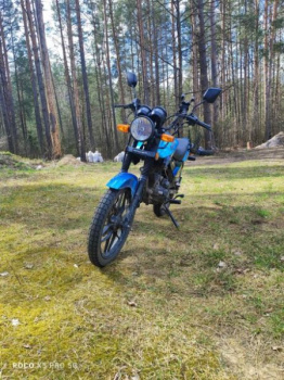 Racer Tiger, 2024 г.