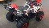 Racer RC 125 Bull, 2023 г.