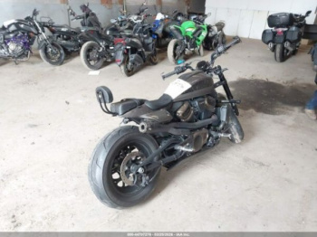 Harley-Davidson Sportster RH1250, 2023 г.