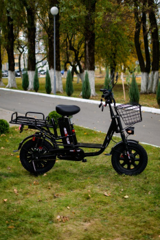  AVM E-ALFA Fat, 2026 г.