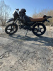 Racer Tiger, 2025 г.