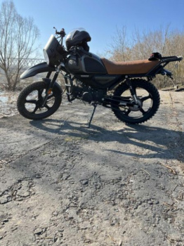 Racer Tiger, 2025 г.