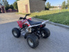 Motoland ATV Fox 125 S, 2020 г.