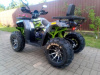 Motoland Wild Track Grey LUX 200 Premium, 2026 г.