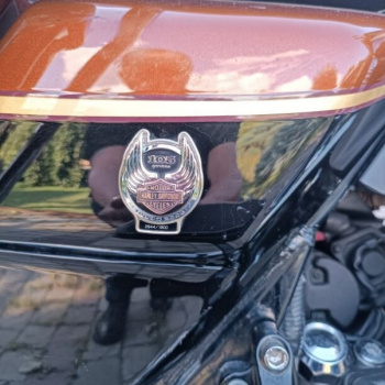 Harley-Davidson CVO, 2008 г.