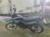 Racer Panther Panter 300, 2019 г.