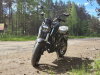 Racer Caiman, 2026 г.