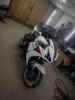 Honda CBR, 1999 г.