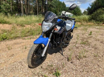 Motoland Bandit 300, 2025 г.