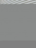 Regulmoto ZR PR 300, 2026 г.