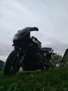 Suzuki RF, 1994 г.