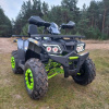 Motoland Wild Track LUX 200, 2026 г.