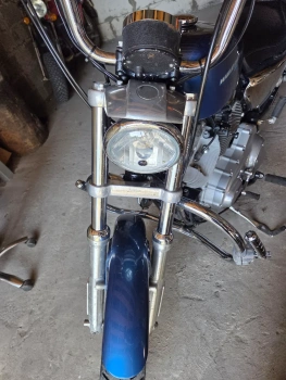 Круизер/чоппер Harley-Davidson Sportster, 2006 г.