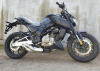 Regulmoto Alien Monster 300, 2025 г.