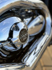 Harley-Davidson V-Rod Muscle 300!, 2016 г.
