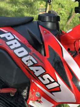 Progasi SUPER MAX 300, 2024 г.