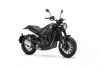 Benelli Leoncino 500, 2026 г.