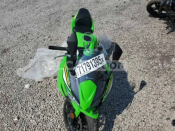 Kawasaki EX 650 Р, 2025 г.