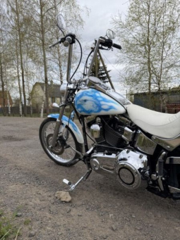 Harley-Davidson Softail Custom, 2008 г.