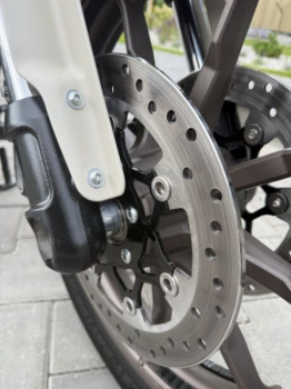 Harley-Davidson Softail FXLRST, 2023 г.