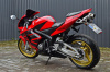 Honda CBR 600 RR, 2003 г.
