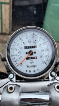 Triumph America, 2008 г.