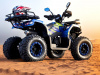 Утилитарный Sharmax 280 RX Activator, 2025 г.