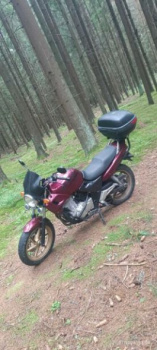 Honda CB СВ500, 2000 г.