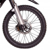 Regulmoto TE PR OIL 4 VALVES, 2026 г.