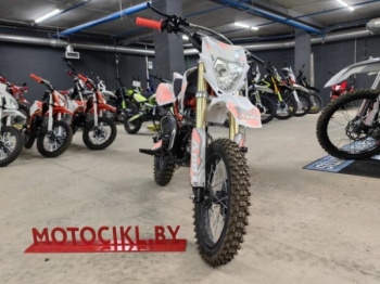 Motoland 110 APEX10 E 14/12, 2026 г.