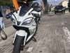 Motoland R1 300, 2024 г.