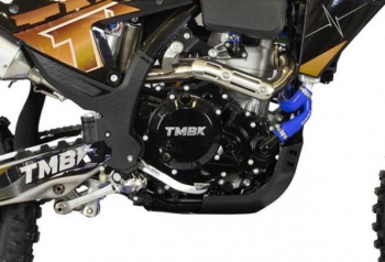 TMBK ENVY 300 PRO, 2026 г.