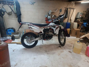 BSE Z6, 2024 г.