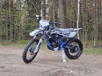 Progasi PALMA 300 RR, 2026 г.