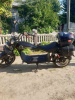 Citycoco Wild Wheel 3000w Cobra, 2024 г.