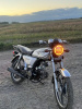 Альфамото Classic, 2013 г.