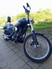 Harley-Davidson Softail Night train, 2008 г.