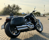 Harley-Davidson V-Rod Muscle 300!, 2016 г.