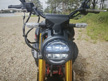 Motoland 501 (172FMM-5/PR250), 2025 г.