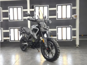 Туризм Regulmoto Duke 300, 2026 г.