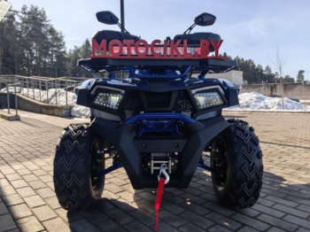 Motoland Wild Track 200 X WINCH, 2025 г.