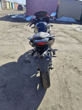 Kawasaki Ninja, 2024 г.